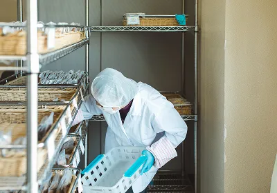 ドリーム・あんです